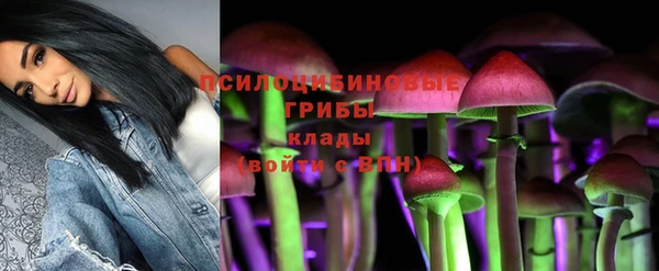 шишки Белокуриха