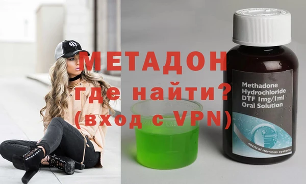 шишки Белокуриха