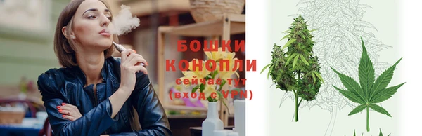 прущие грибы Заполярный