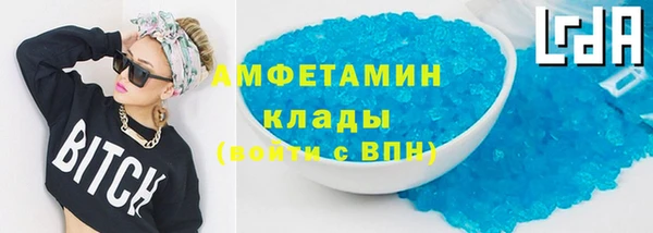 шишки Белокуриха
