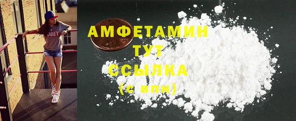 шишки Белокуриха