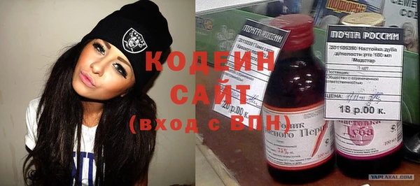 шишки Белокуриха