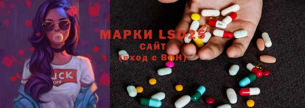 шишки Белокуриха