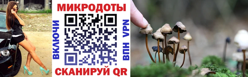 где купить Шадринск Галлюциногенные грибы MAGIC MUSHROOMS